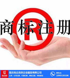 北碚工商变更指南 向企而创，助推文化艺术交流咨询发展